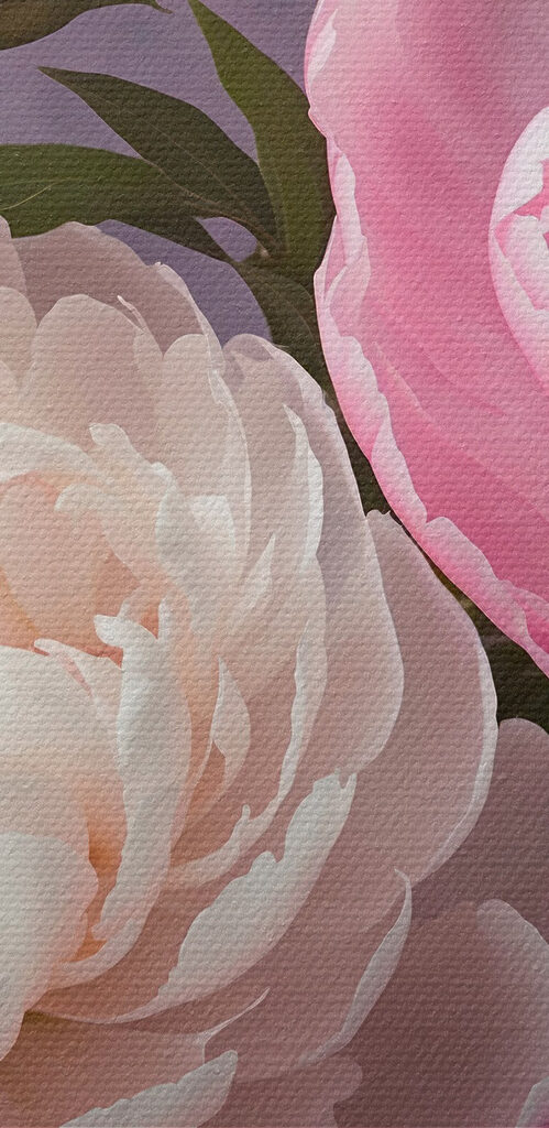 Group of pink and white flowers Group of pink and white flowers