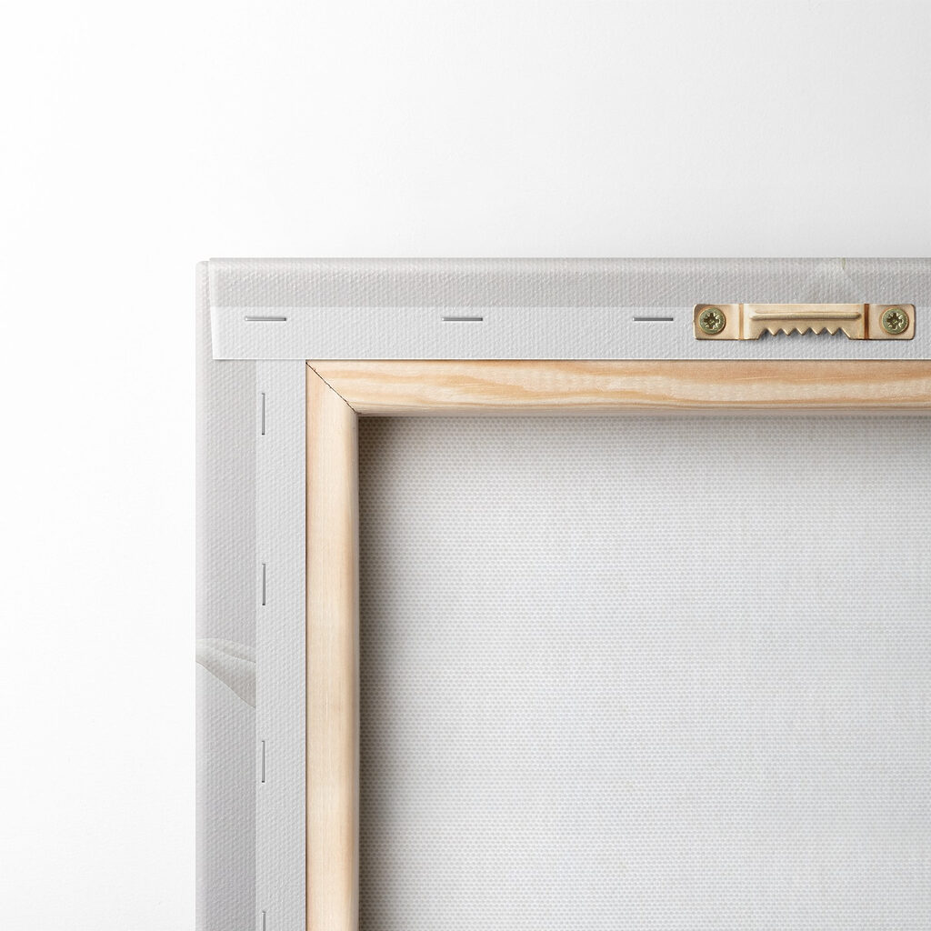 Group of white flowers Group of white flowers