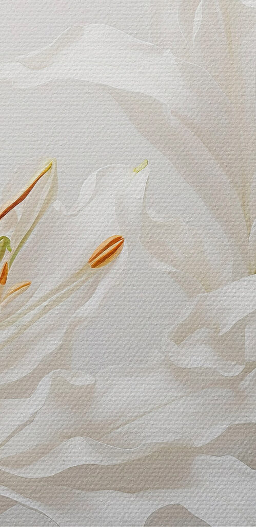 Group of white flowers Group of white flowers