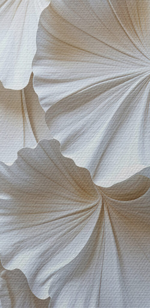 Group of white leaves