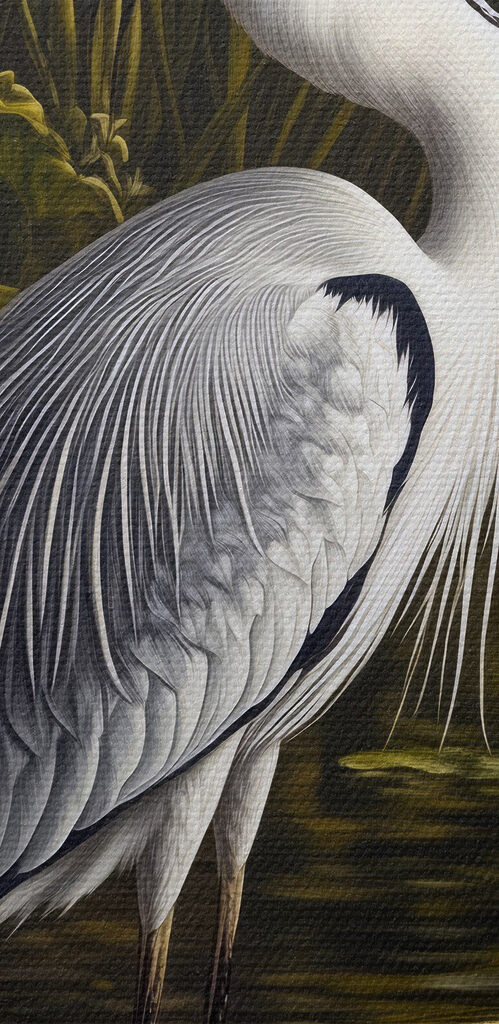 Bird standing in water