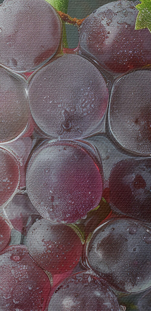 Bunch of grapes with water droplets on top Bunch of grapes with water droplets on top