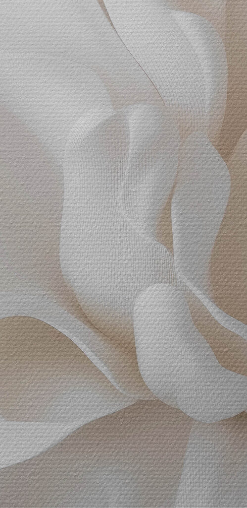 Delicate layers of soft petals Delicate layers of soft petals