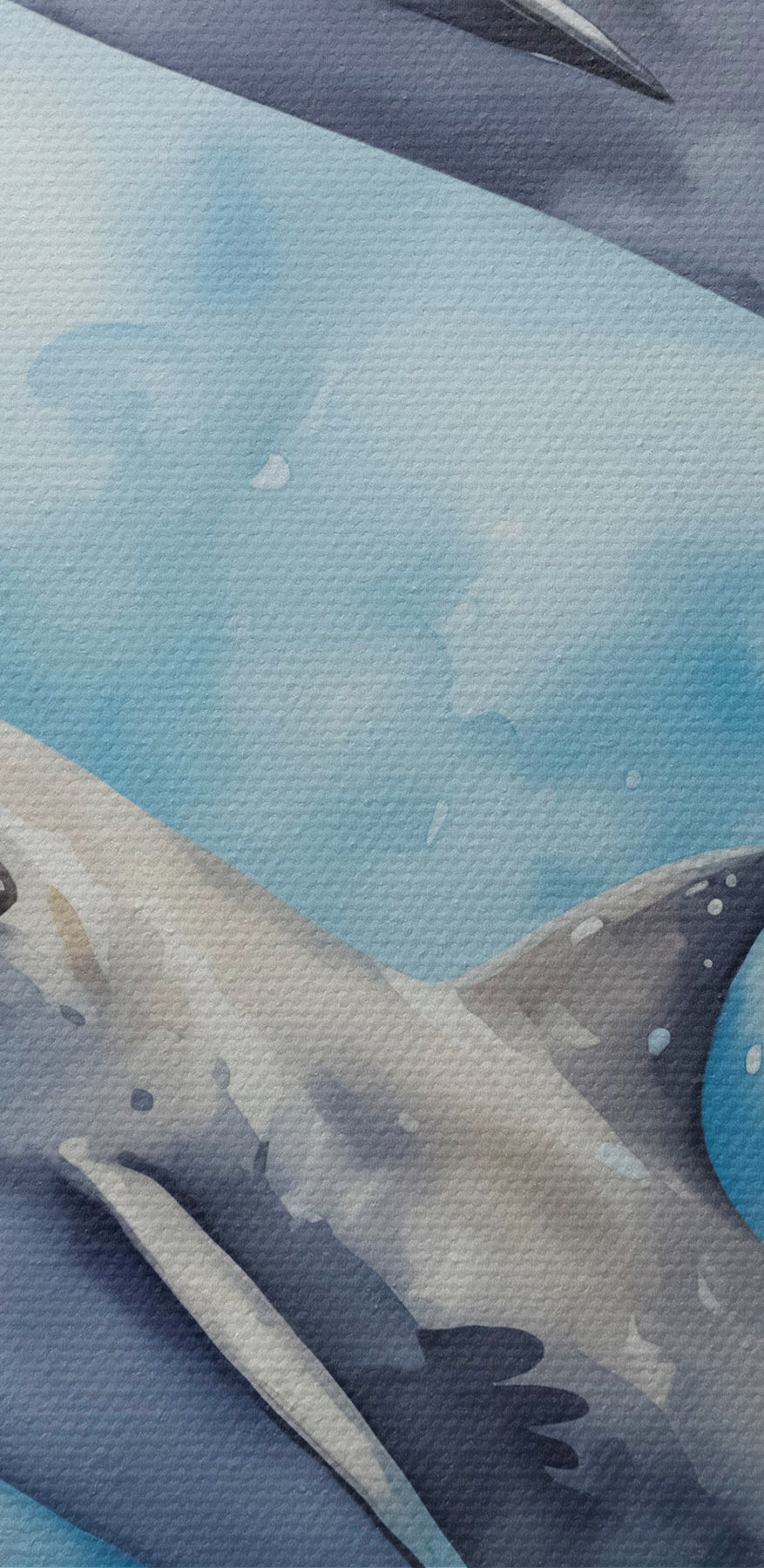 Két delfin úszik a vízben Két delfin úszik a vízben