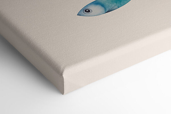 Group of fish with different colors Group of fish with different colors