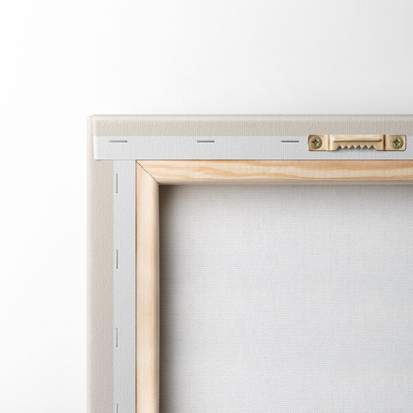 Group of fish with different colors Group of fish with different colors