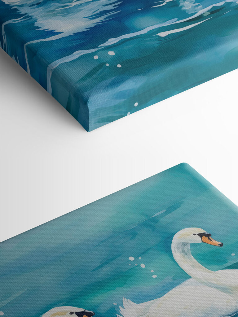 Two swans swimming in water