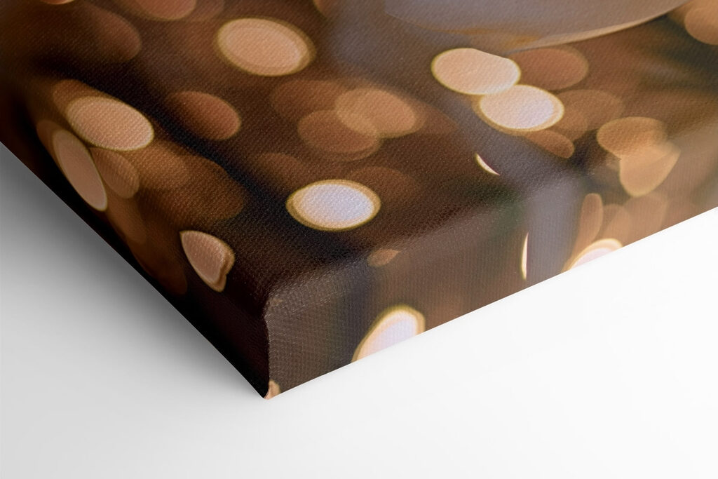 Delicate petals in soft hues