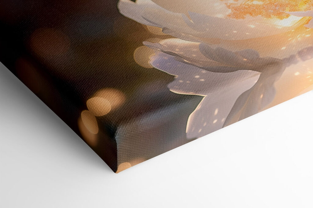 White flower with yellow center