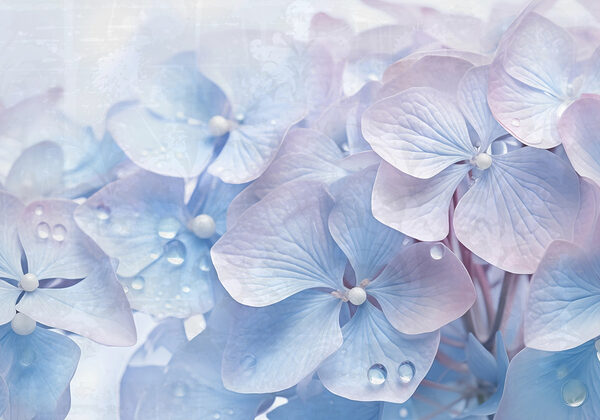 Delicate petals in soft hues Delicate petals in soft hues