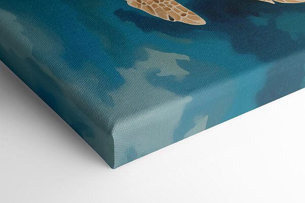 Couple of turtles swimming in water