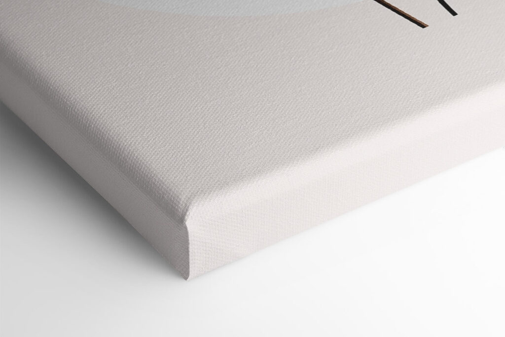 Flower with leaves on a stem