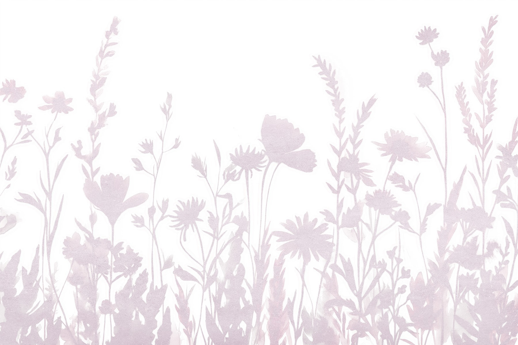 Soft silhouettes of delicate wildflowers Soft silhouettes of delicate wildflowers