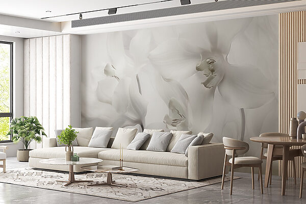 Finom fehér orchideák lágy fényben Finom fehér orchideák lágy fényben