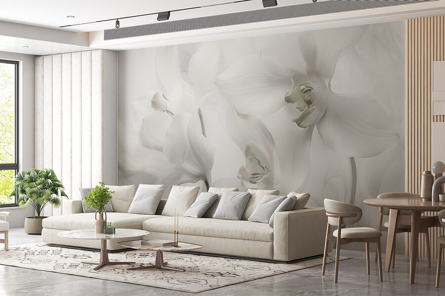 Finom fehér orchideák lágy fényben