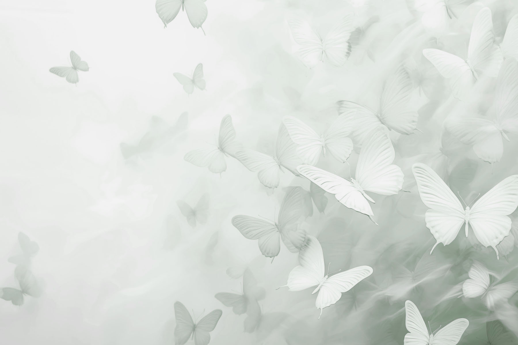 Group of butterflies flying Group of butterflies flying