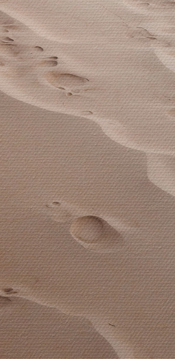 Footprints in the sand