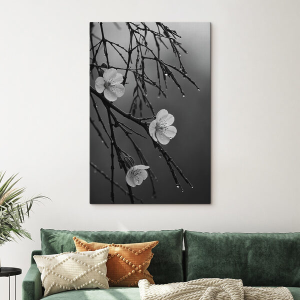 Vászonképek Finom virágzás a szelíd eső alatt