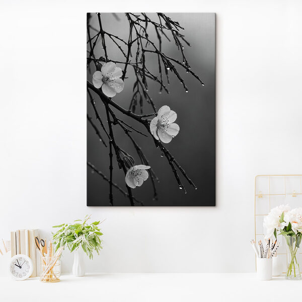 Delicate blooms beneath gentle rain