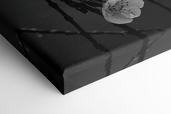 Delicate blooms beneath gentle rain