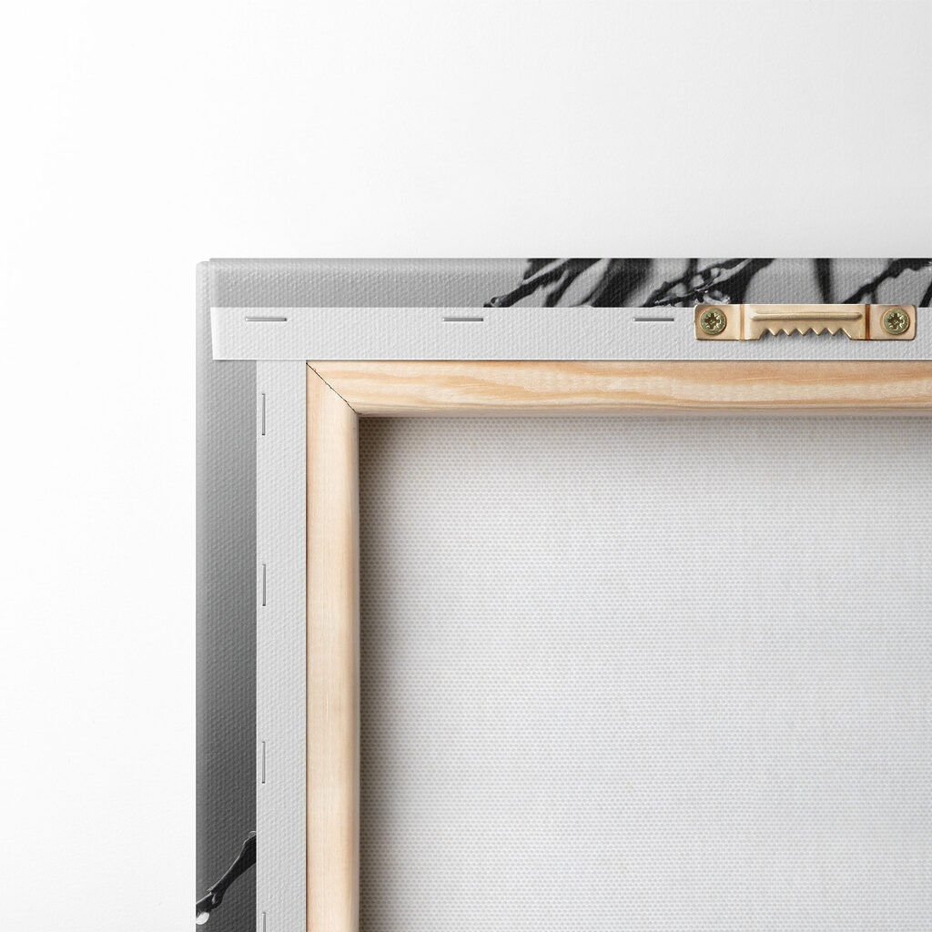 Delicate blooms beneath gentle rain