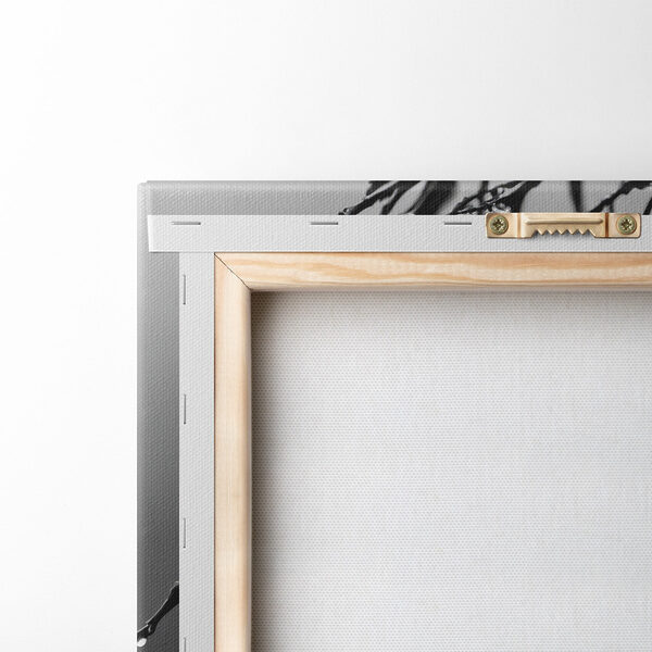 Delicate blooms beneath gentle rain