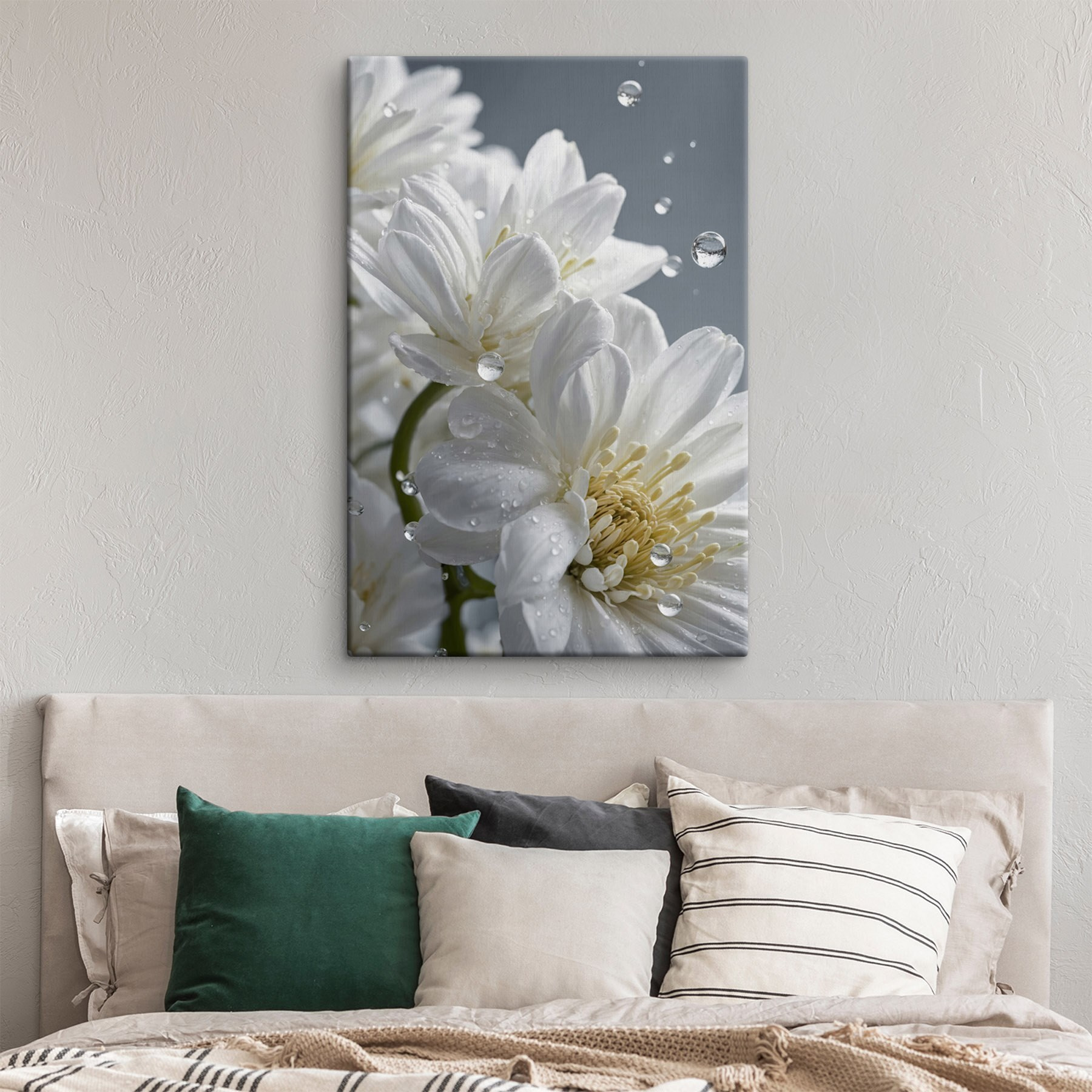 Delicate petals with morning dew