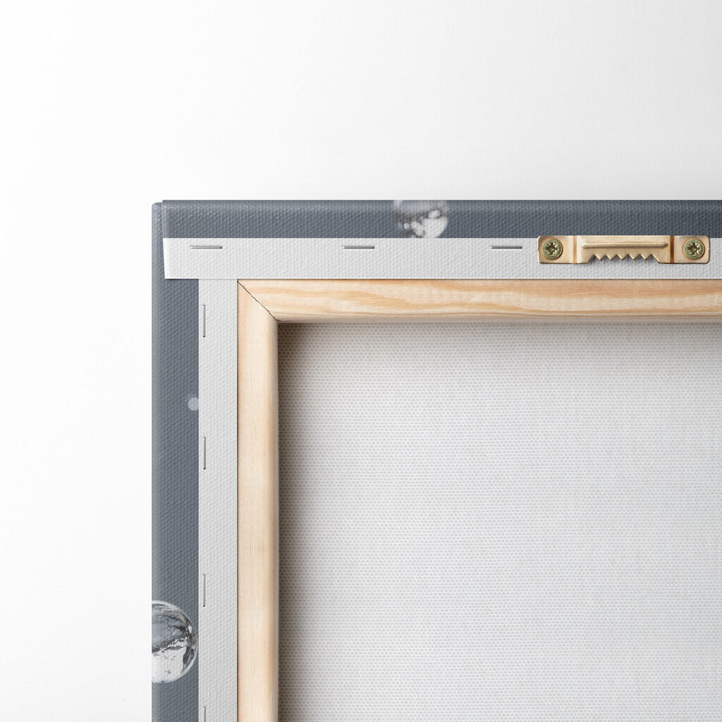 Delicate petals with morning dew