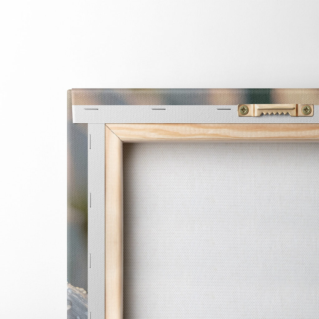 Delicate petals adorned with droplets