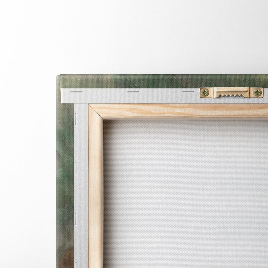 Fox sleeping in the grass