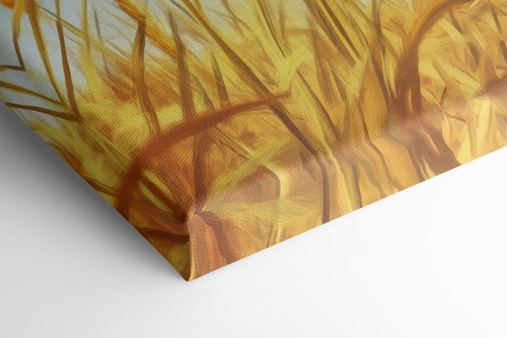 Cat sitting in a wheat field