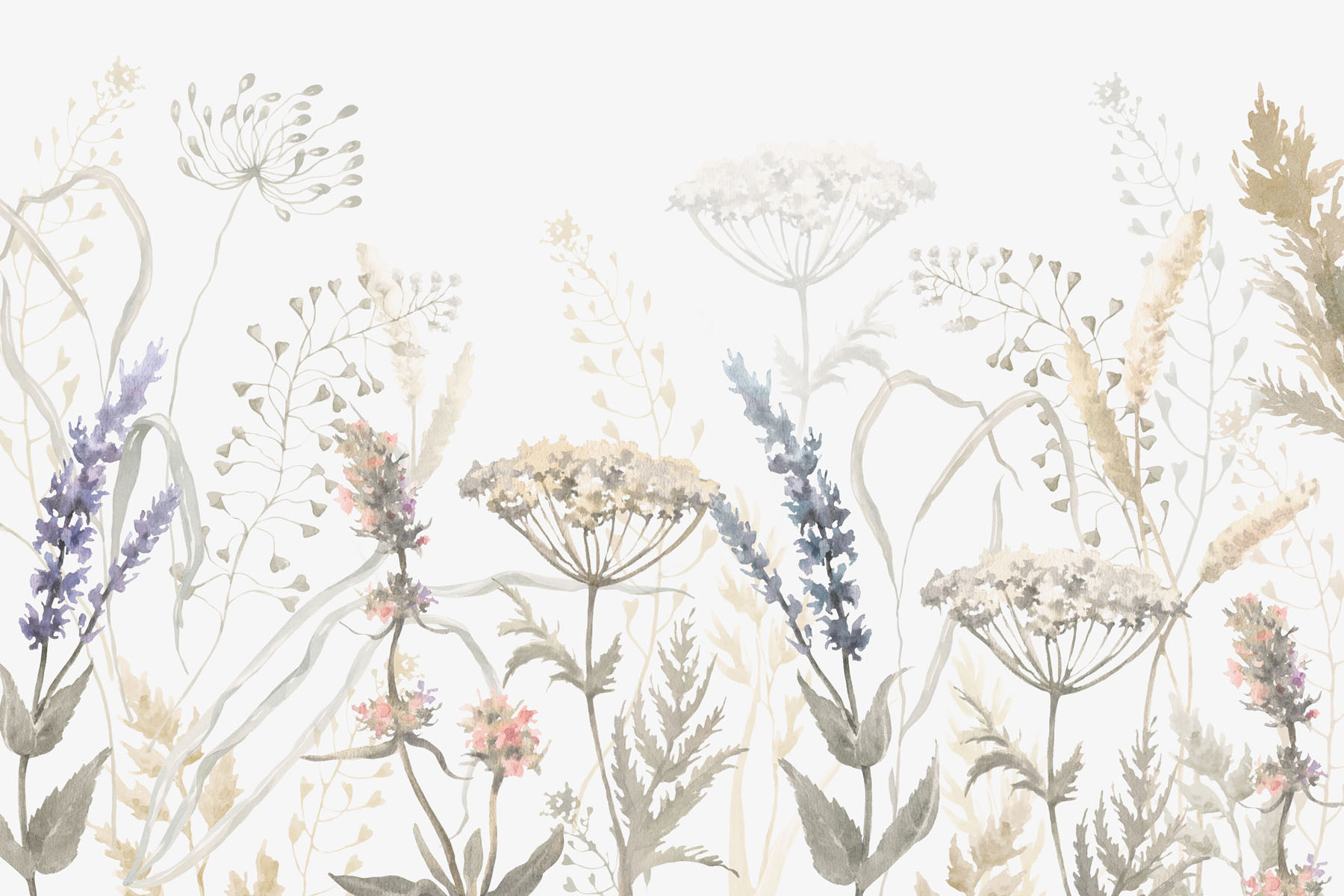 Watercolor painting of flowers and plants Watercolor painting of flowers and plants