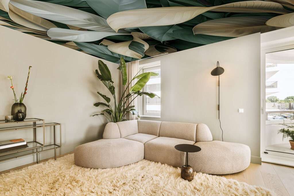 Close up of leaves Close up of leaves