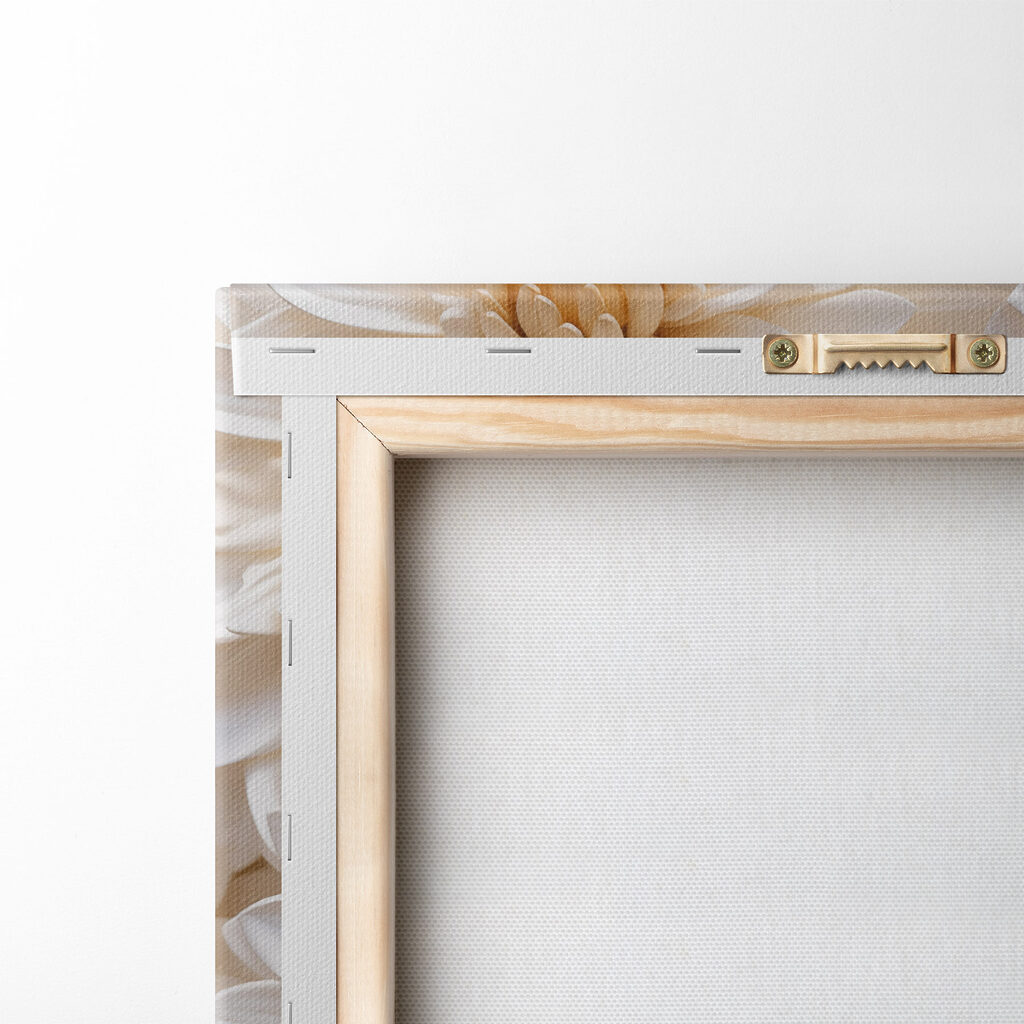 Group of white flowers Group of white flowers