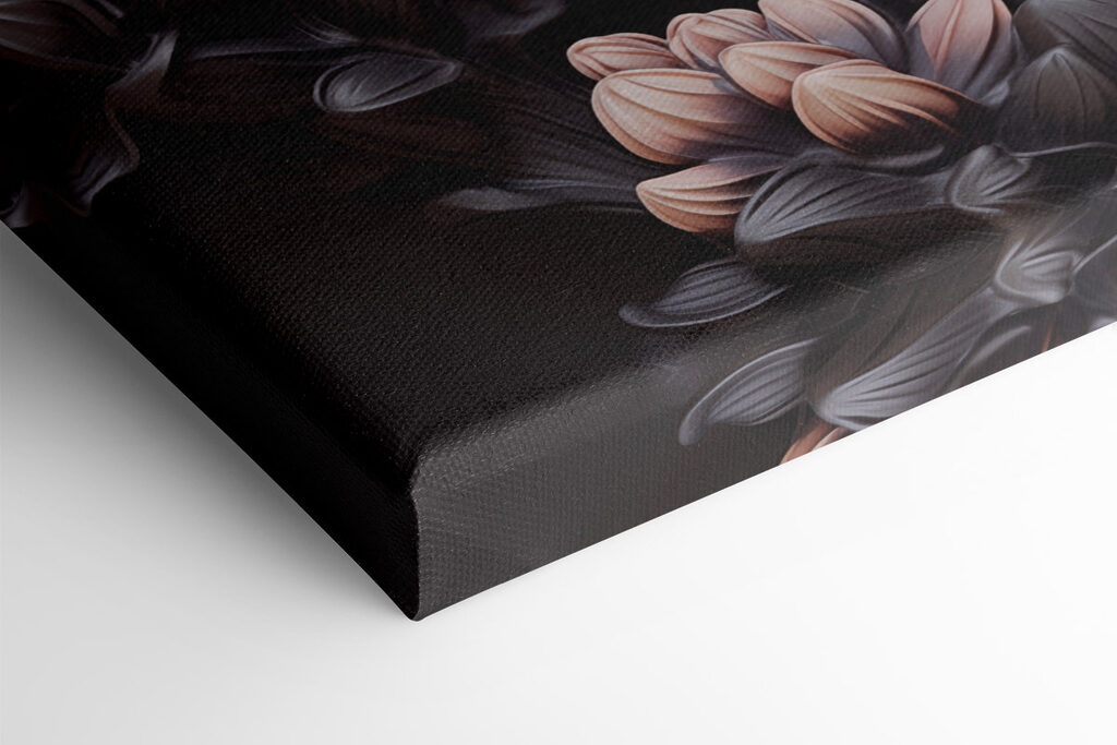 Blooming beauty against a dark backdrop