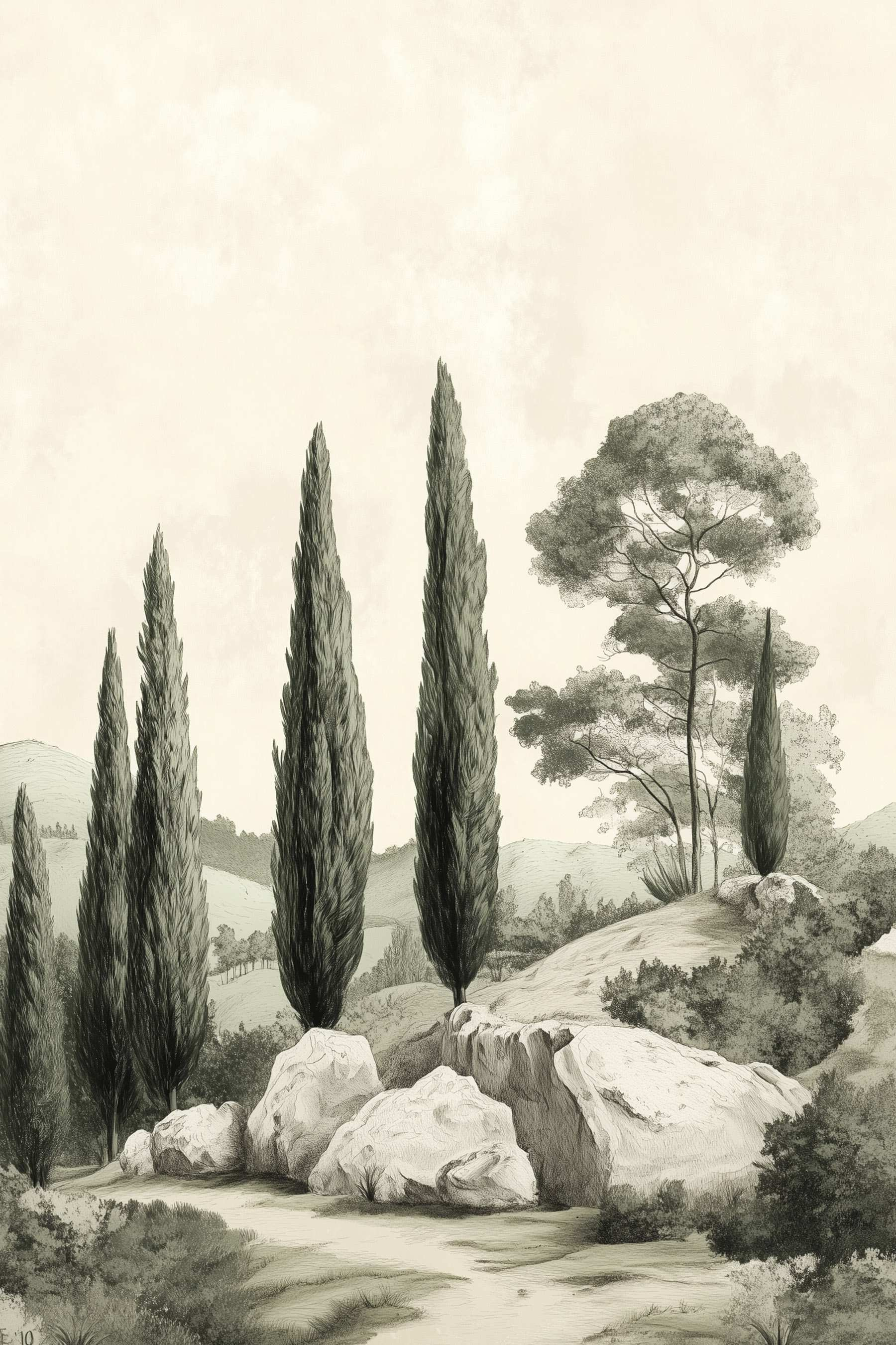 Group of trees on a hill