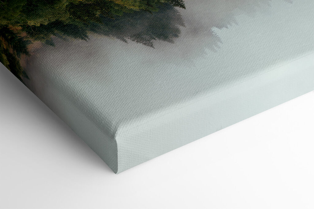 A reflection of trees in the water