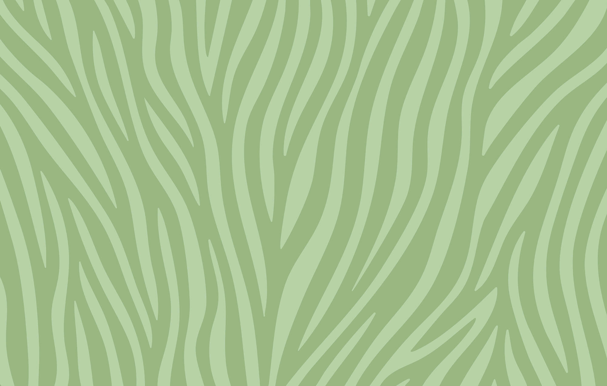 Green and white zebra print Green and white zebra print