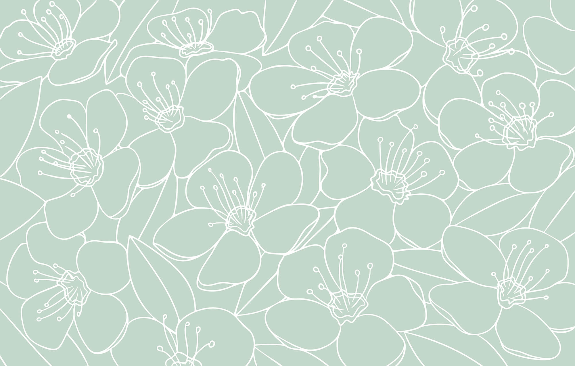 Pattern of flowers and leaves