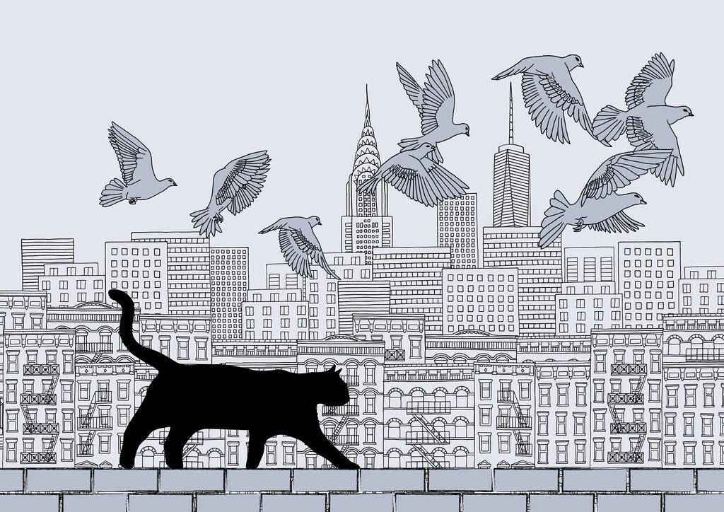 Cat walking on a wall with birds flying in the sky