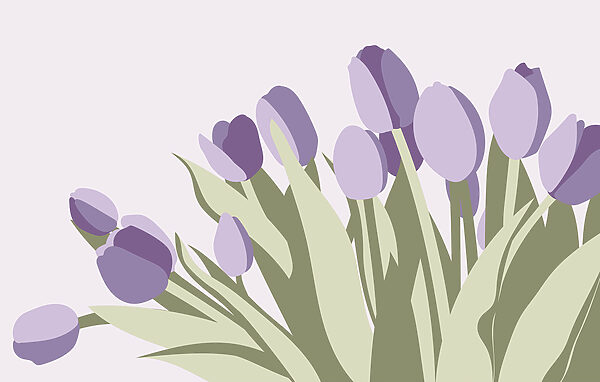 Egy csokor lila tulipán Egy csokor lila tulipán