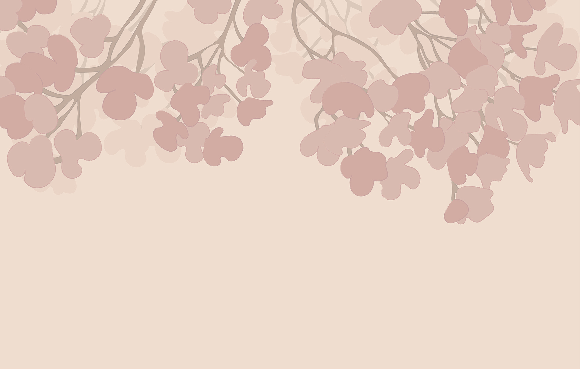 Pink flowers on a white background Pink flowers on a white background