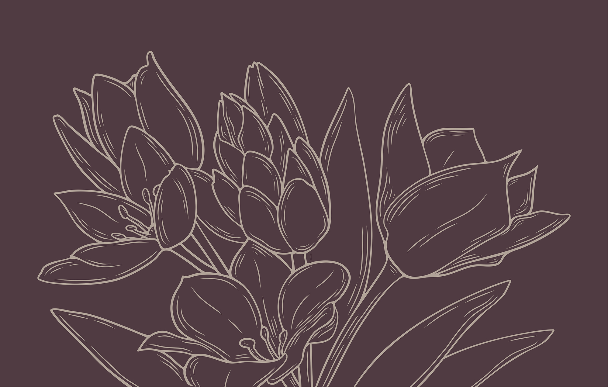 Delicate blooms on a rich backdrop Delicate blooms on a rich backdrop