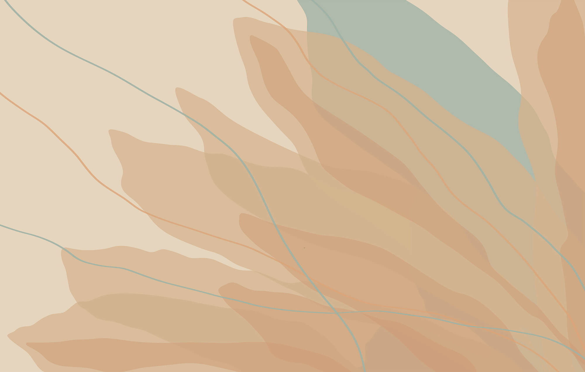 Flowing shapes in warm tones