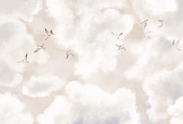 Group of birds flying in the sky Group of birds flying in the sky