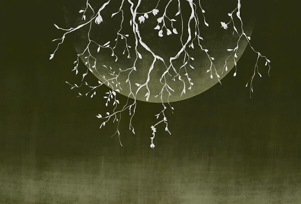 Tree branches with leaves and a moon