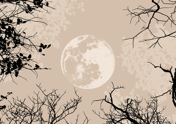 Moon in the sky Moon in the sky