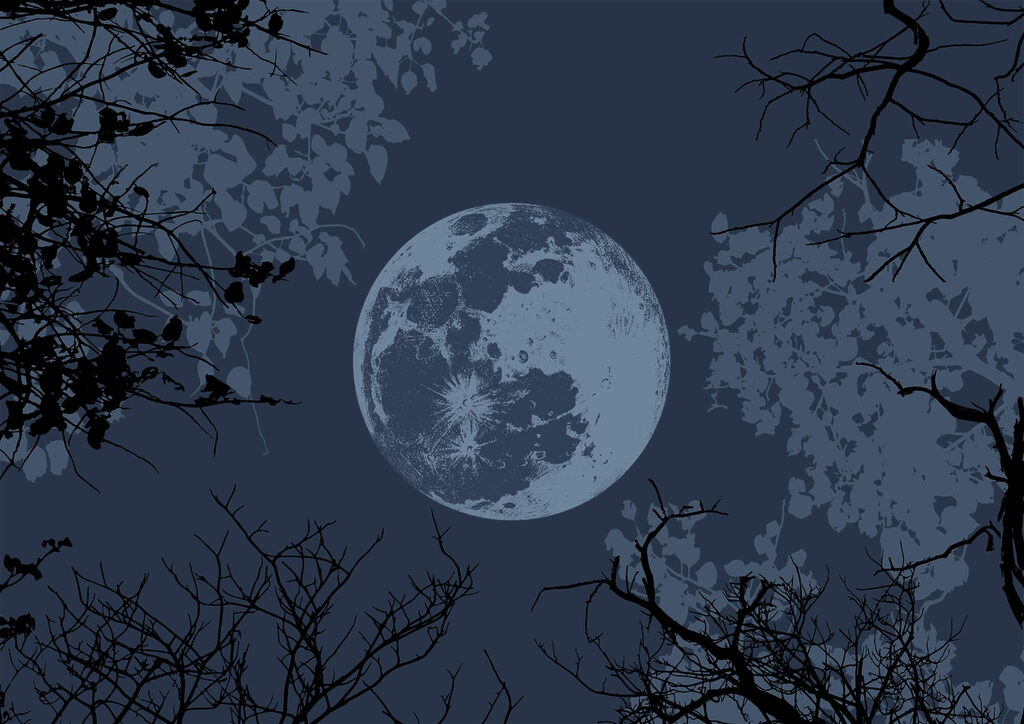 Moon in the sky Moon in the sky