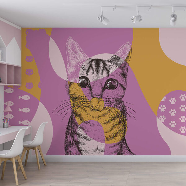 Egérorrú macska Egérorrú macska