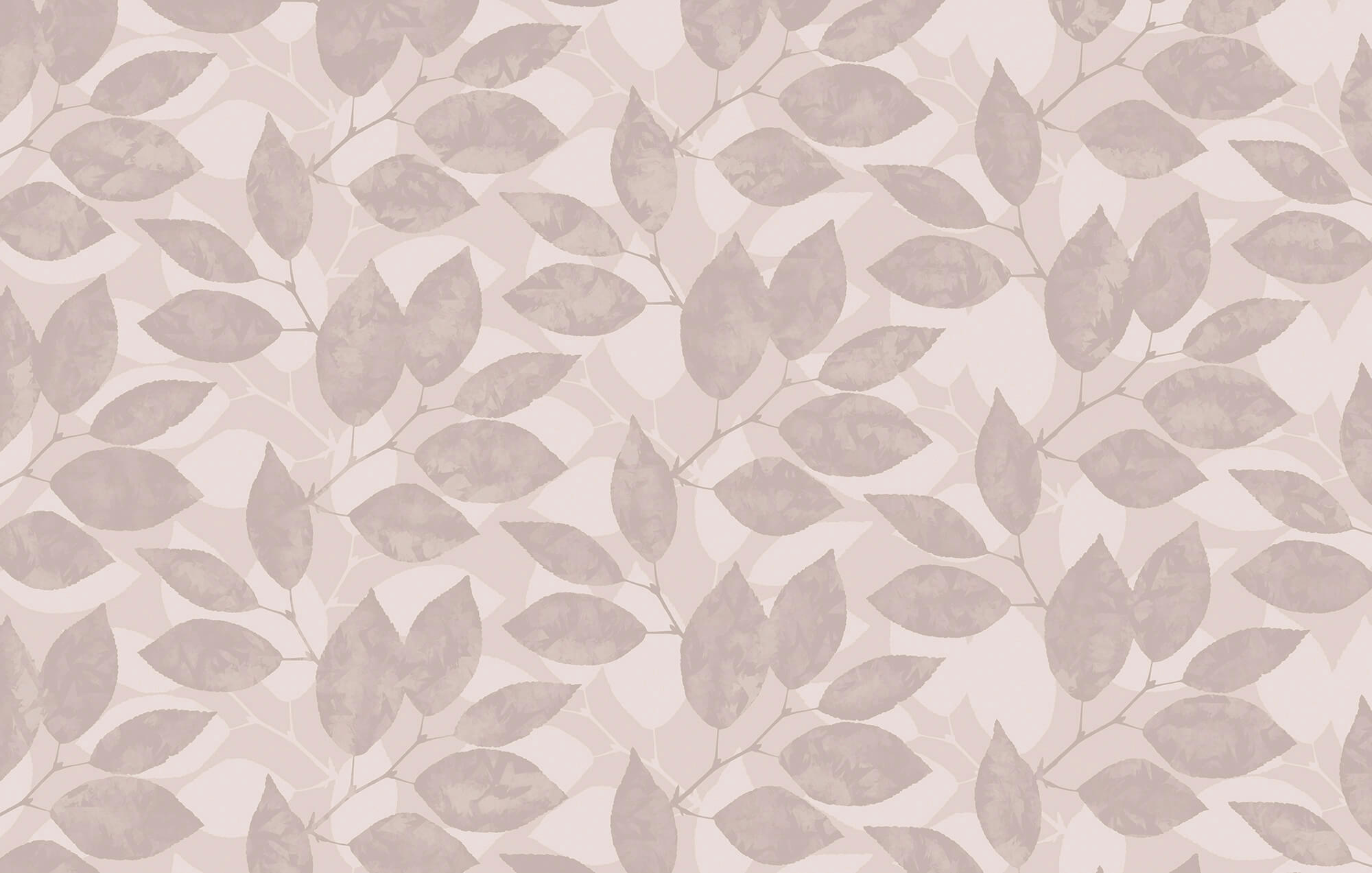 Pattern of leaves on a white background Pattern of leaves on a white background